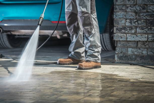 Best Fleet Vehicle Washing  in Harveys Lake, PA
